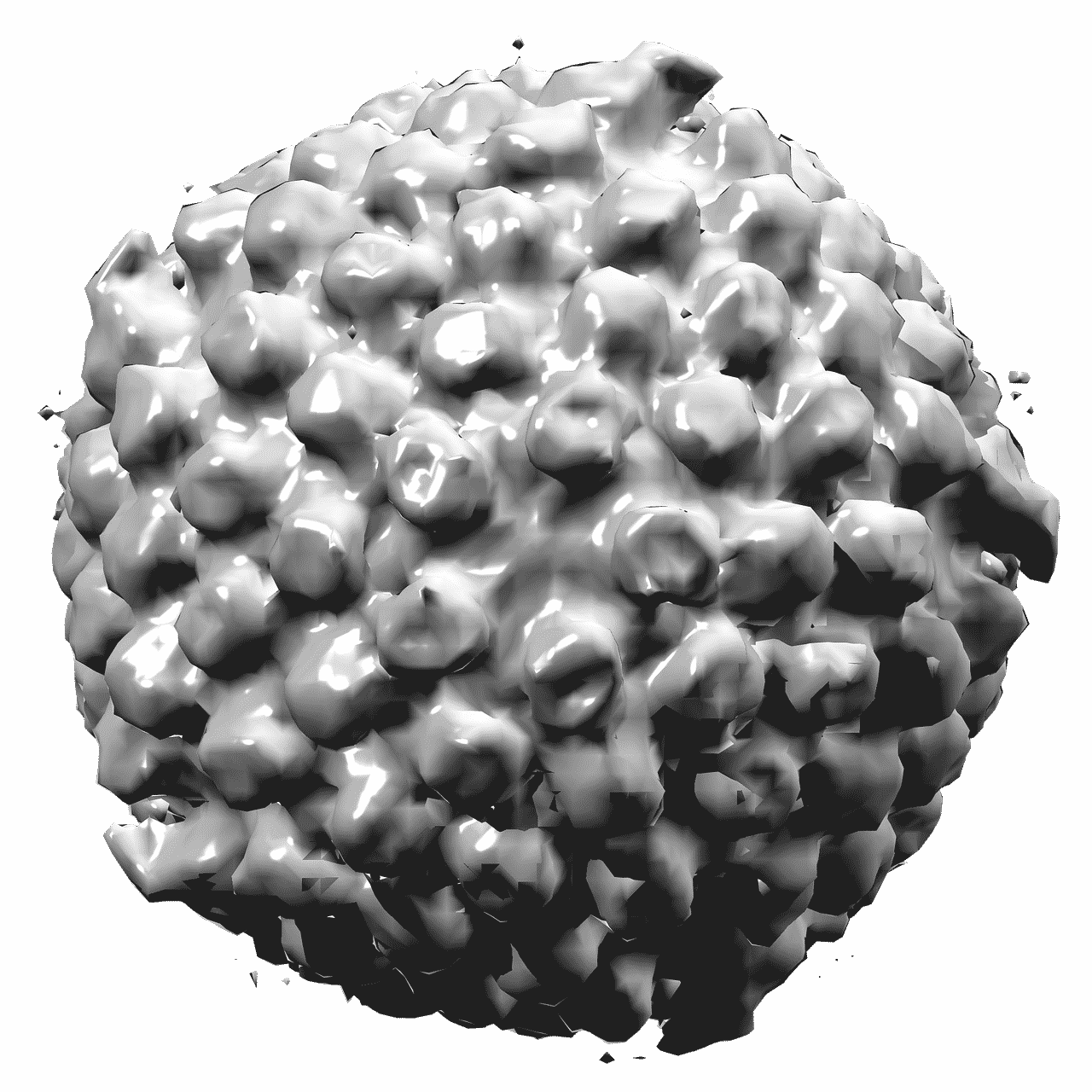 There Are Billions of People Living with Herpes Worldwide, The WHO Reports Image